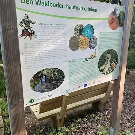 Woodwood Near Airport Stuttgart *