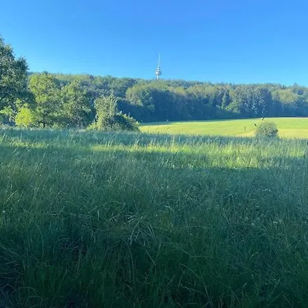 公寓 Woodwood Near Airport Stuttgart