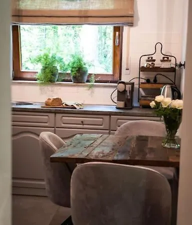 Woodwood Near Airport Stuttgart Waldenbuch