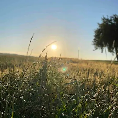 דירה Woodwood Near Airport Stuttgart Waldenbuch